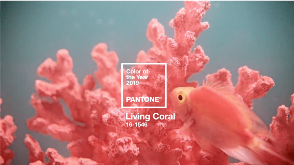 Design Trends, Creative Design Pantone